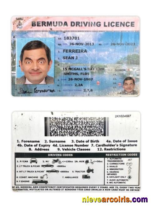 Bermuda driving license